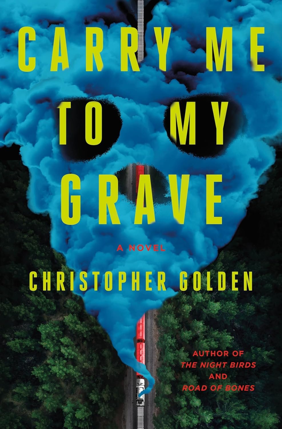 Carry Me to My Grave: A Novel